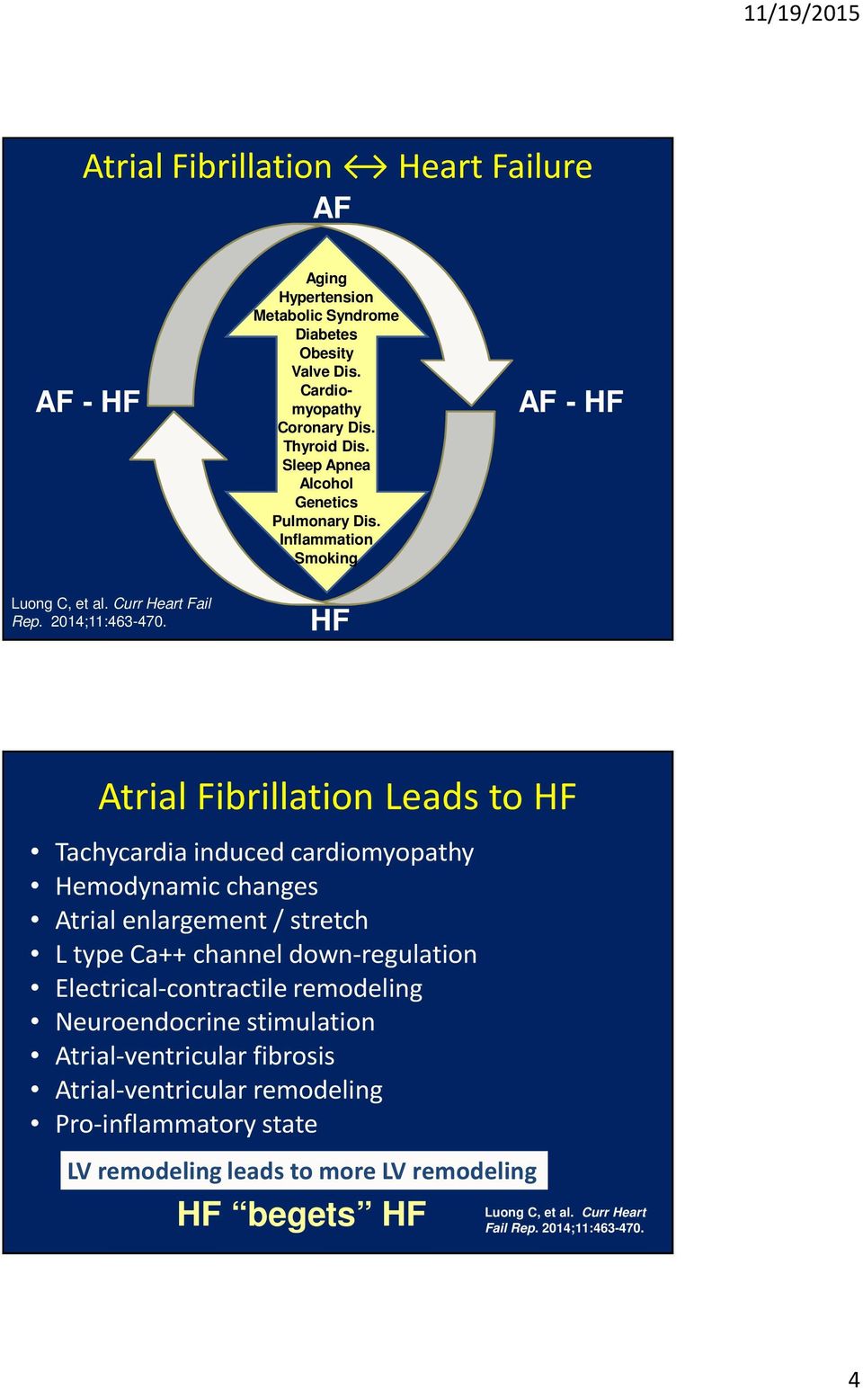 Inflammation Smoking HF AF - HF Atrial Fibrillation Leads to HF Tachycardia induced cardiomyopathy Hemodynamic changes Atrial enlargement / stretch L type Ca++ channel