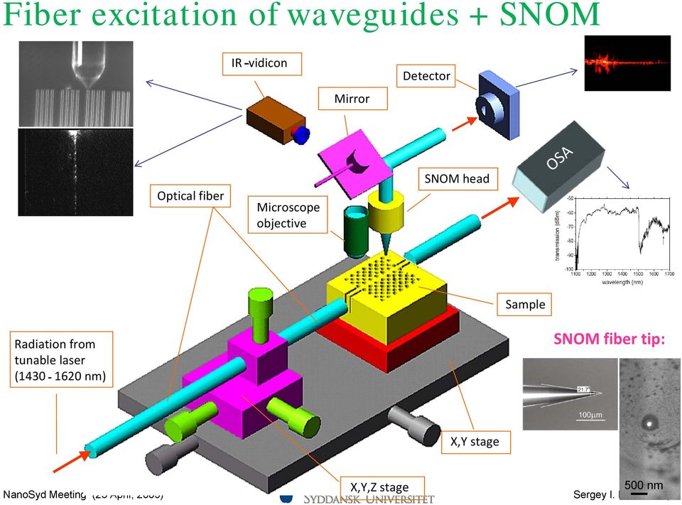 SNOM head OSA Sample Radiation from tunable laser