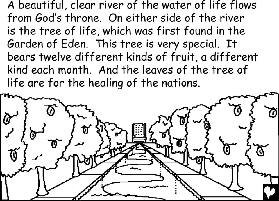 Garden of Eden. This tree is very special.