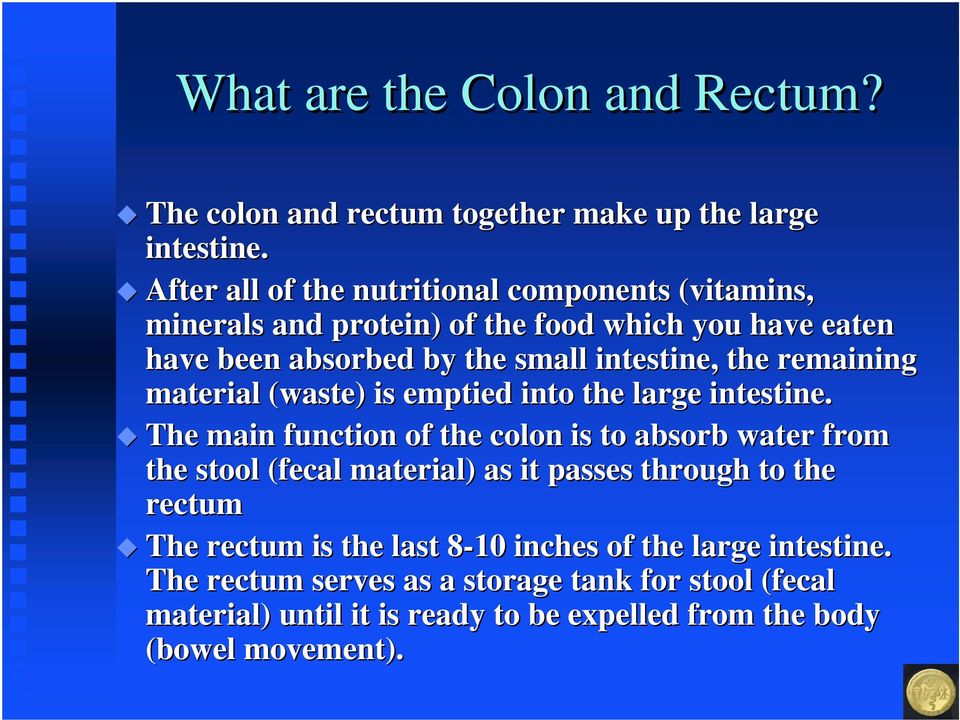 remaining material (waste) is emptied into the large intestine.