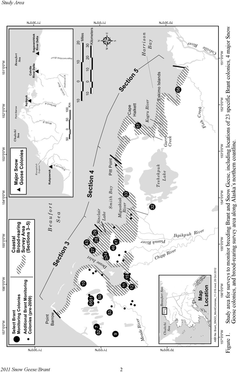 Study area for surveys to monitor breeding Brant and Snow Geese, including locations of 23 specific Brant colonies, 4 major Snow Goose colonies, and brood-rearing survey area along Alaska s northern