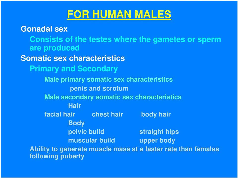 secondary somatic sex characteristics Hair facial hair chest hair body hair Body pelvic build straight