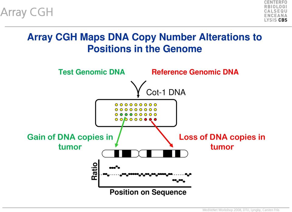Reference Genomic DNA Cot-1 DNA Gain of DNA copies