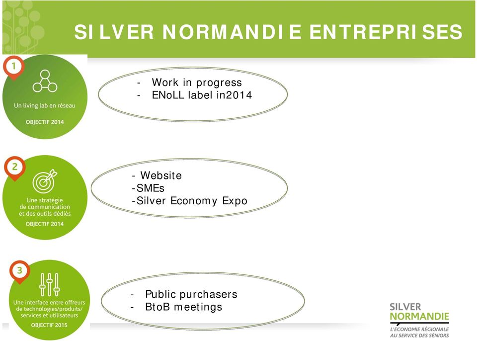 in2014 -Website -SMEs -Silver