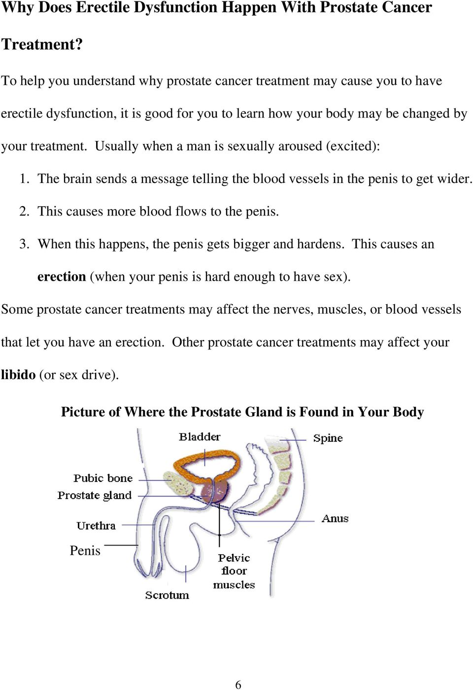 Usually when a man is sexually aroused (excited): 1. The brain sends a message telling the blood vessels in the penis to get wider. 2. This causes more blood flows to the penis. 3.