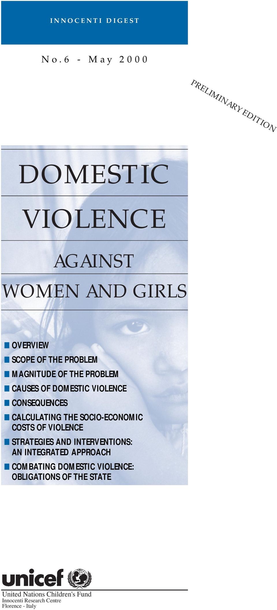 MAGNITUDE OF THE PROBLEM CAUSES OF DOMESTIC VIOLENCE CONSEQUENCES CALCULATING THE SOCIO-ECONOMIC COSTS