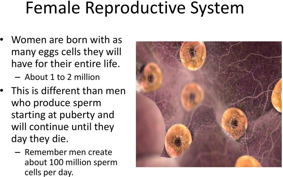 About 1 to 2 million This is different than men who produce sperm