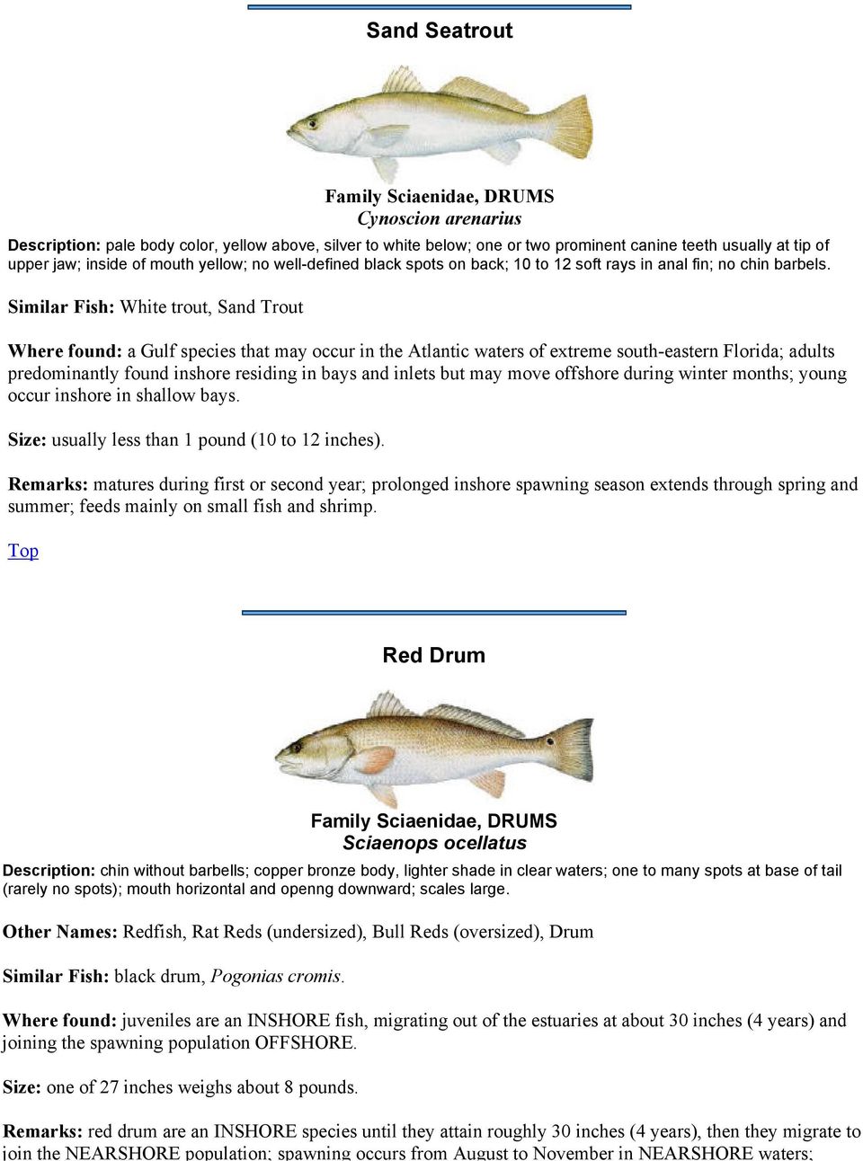 Similar Fish: White trout, Sand Trout Where found: a Gulf species that may occur in the Atlantic waters of extreme south-eastern Florida; adults predominantly found inshore residing in bays and