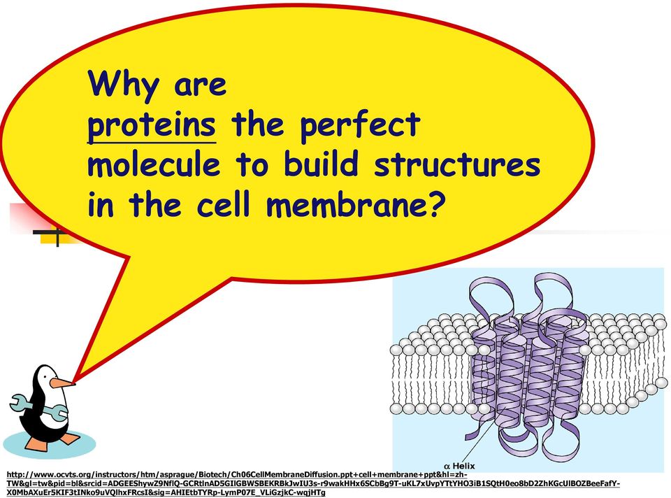 ppt+cell+membrane+ppt&hl=zh-