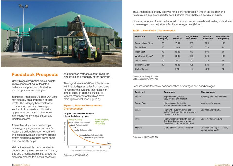 Feedstock Characteristics Feedstock Prospects Ideally biogas production would benefit from a consistent mix of feedstock materials, chopped and blended to ensure optimum methane yield.
