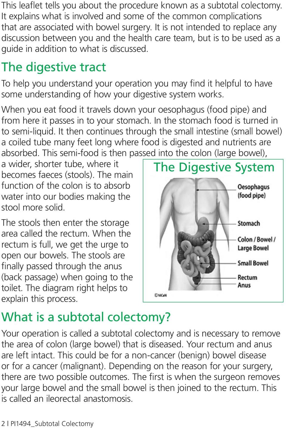 The digestive tract To help you understand your operation you may find it helpful to have some understanding of how your digestive system works.