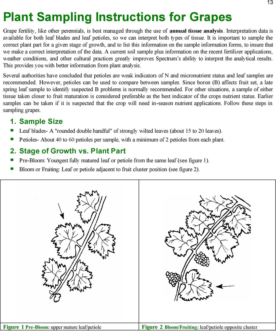 It is important to sample the correct plant part for a given stage of growth, and to list this information on the sample information forms, to insure that we make a correct interpretation of the data.