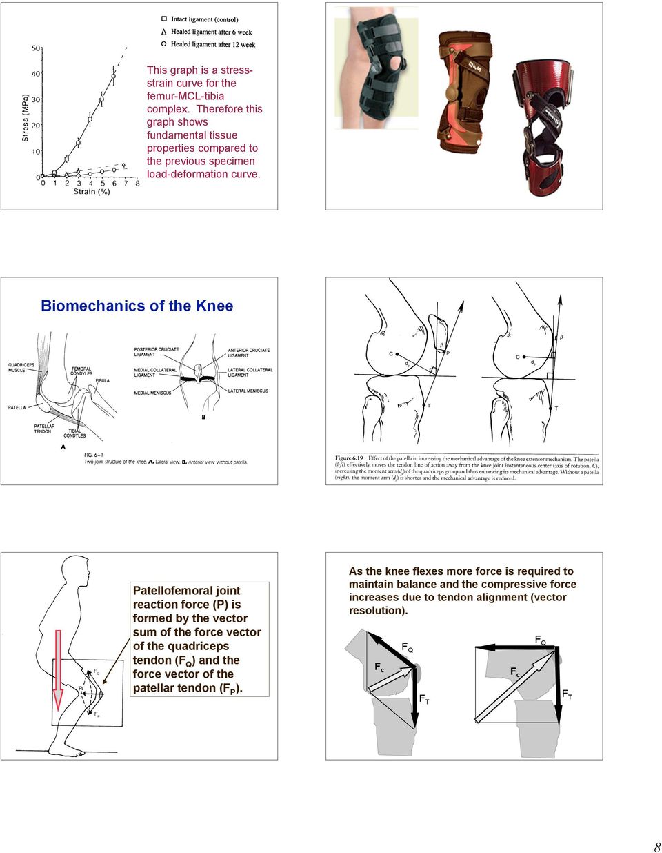 Biomechanics of the Knee Patellofemoral joint reaction force (P) is formed by the vector sum of the force vector of the quadriceps
