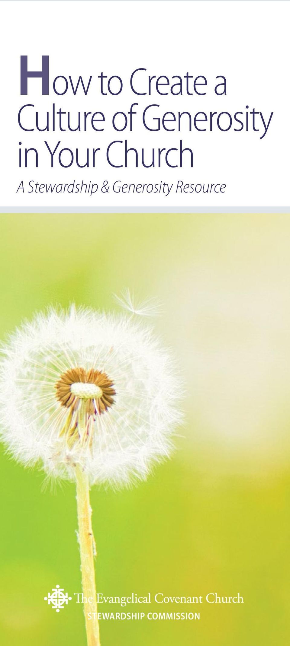 Stewardship & Generosity