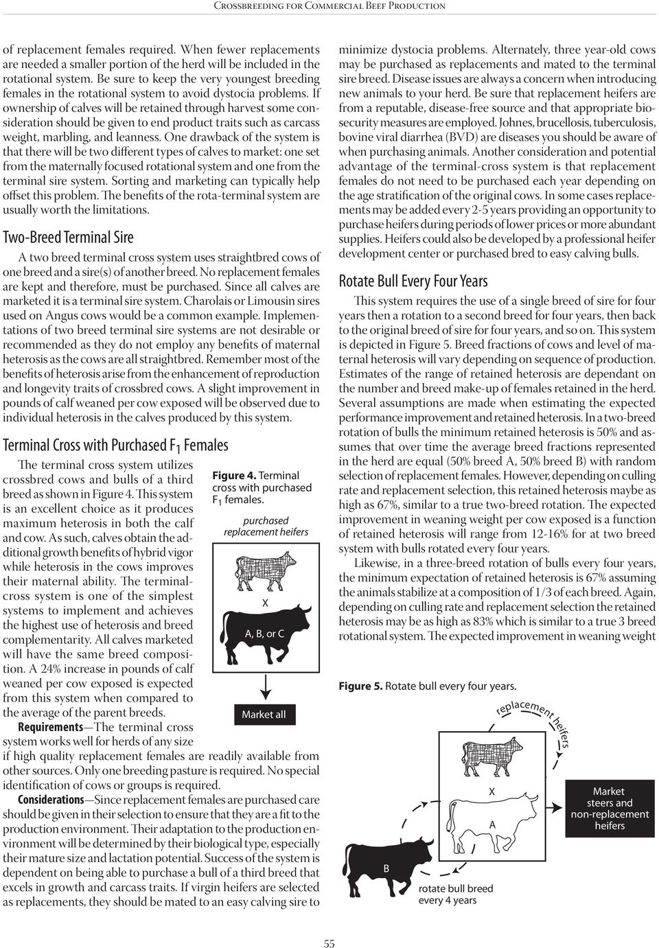 If ownership of calves will be retained through harvest some consideration should be given to end product traits such as carcass weight, marbling, and leanness.