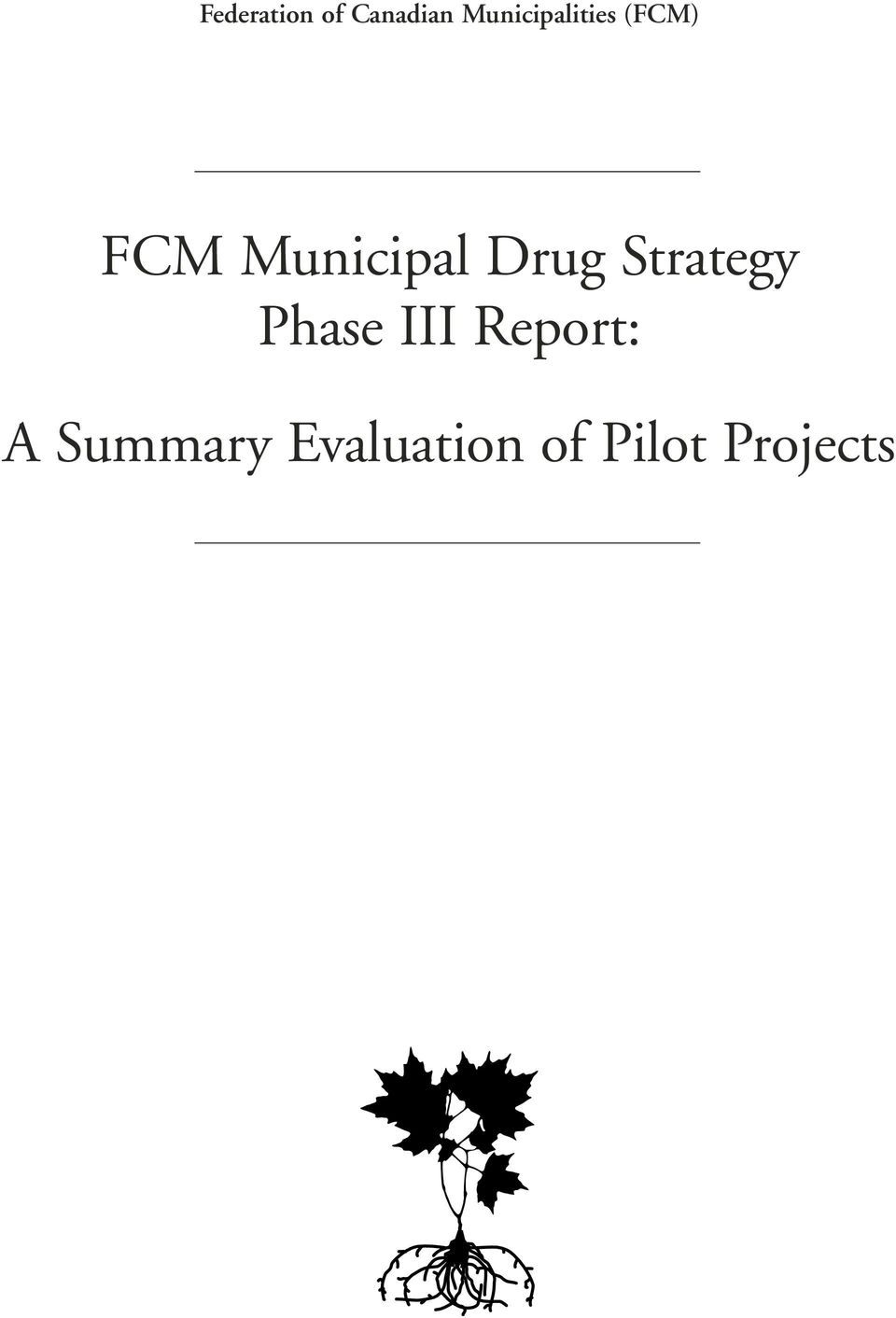 Municipal Drug Strategy Phase