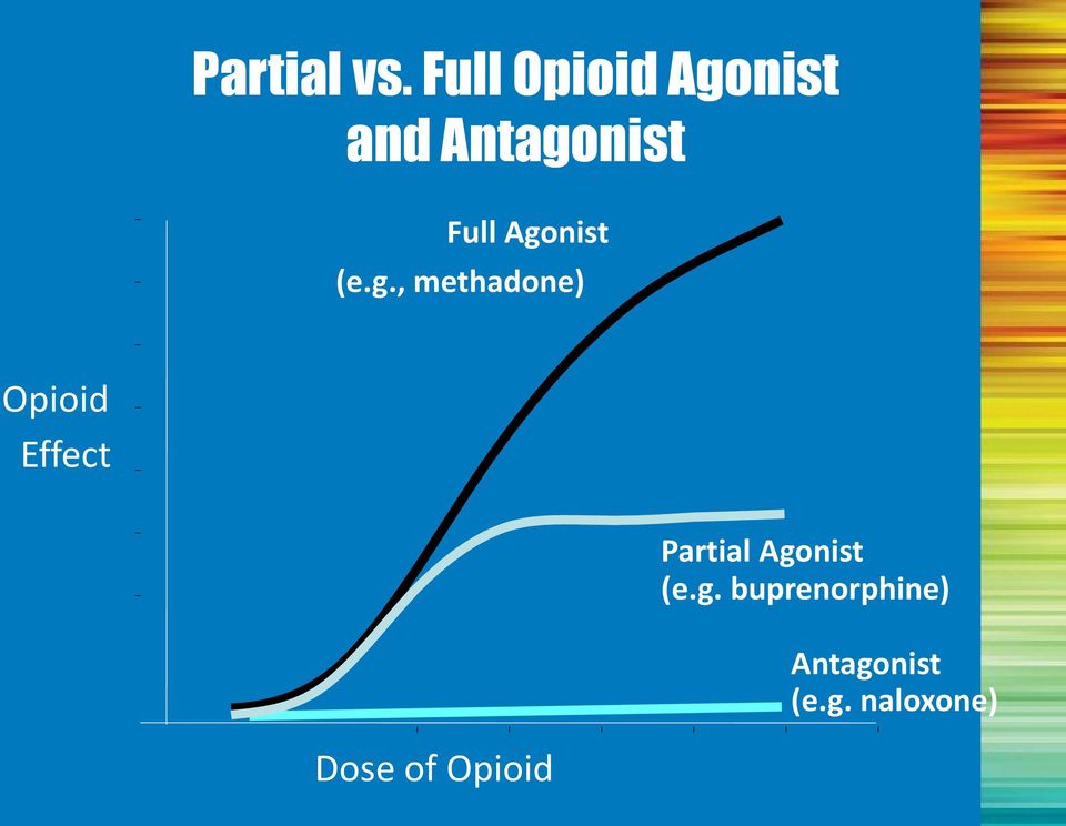Agonist (e.g., methadone) Opioid Effect