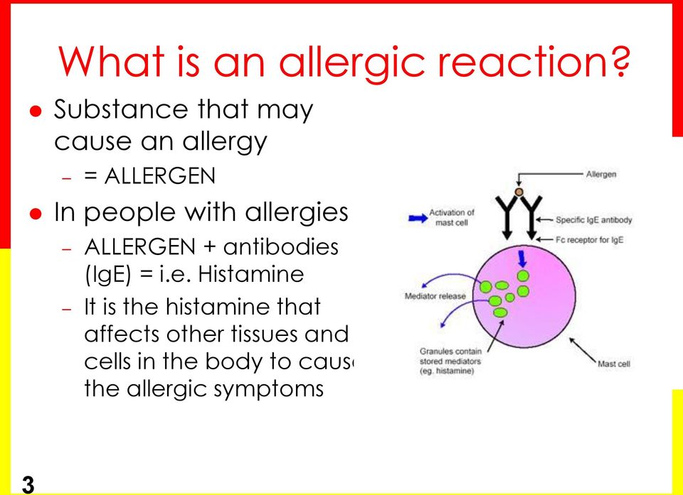 allergies ALLERGEN + antibodies (IgE) = i.e. Histamine It is