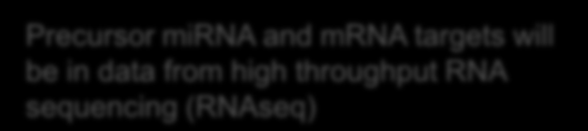 Transcriptomes for study of small RNA Precursor mirna and mrna targets will be in data from high throughput RNA sequencing (RNAseq) Mature mirna and