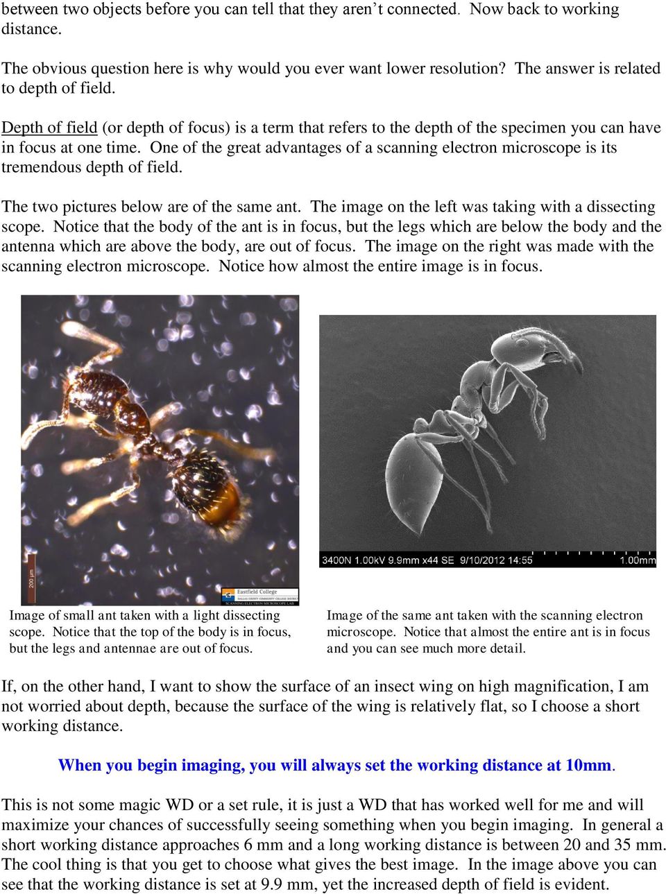 One of the great advantages of a scanning electron microscope is its tremendous depth of field. The two pictures below are of the same ant. The image on the left was taking with a dissecting scope.