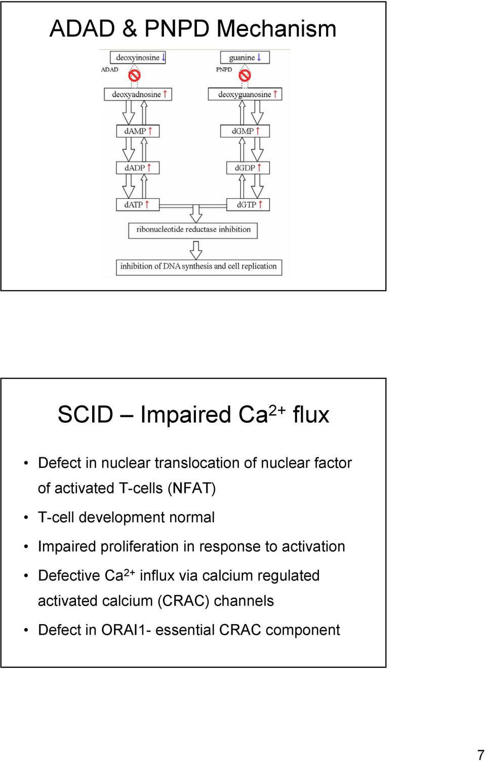 proliferation in response to activation Defective Ca 2+ influx via calcium