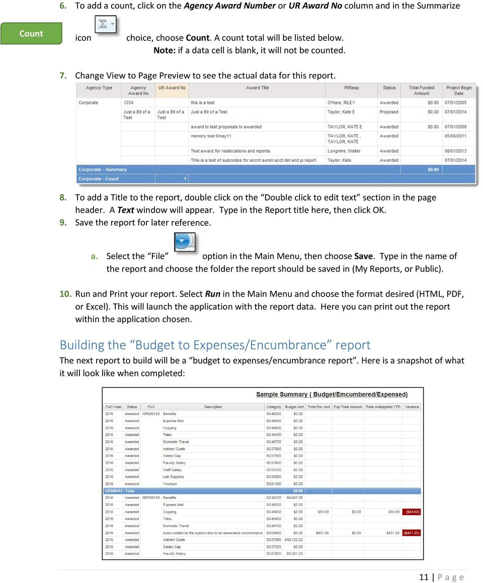 To add a Title to the report, double click on the Double click to edit text section in the page header. A Text window will appear. Type in the Report title here, then click OK. 9.