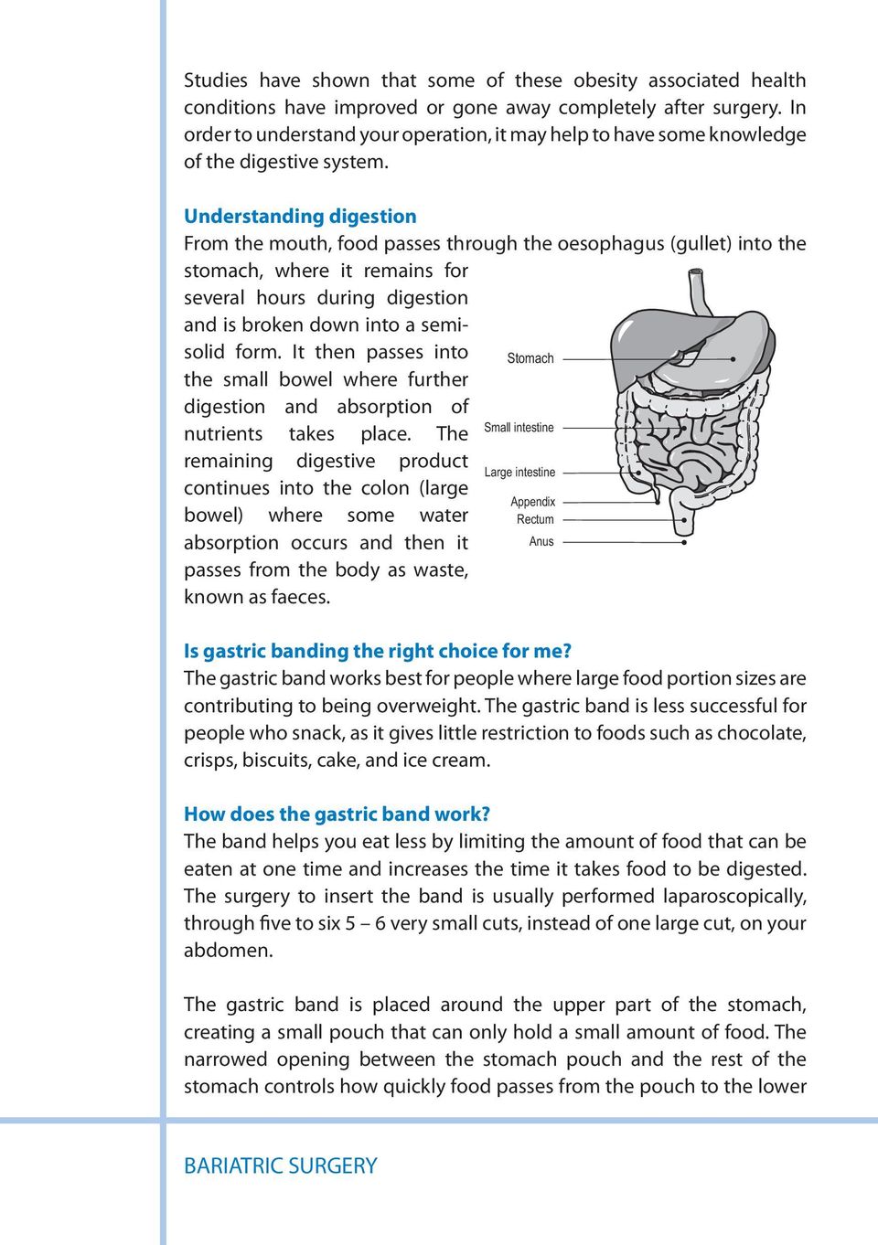 Understanding digestion From the mouth, food passes through the oesophagus (gullet) into the stomach, where it remains for several hours during digestion and is broken down into a semisolid form.