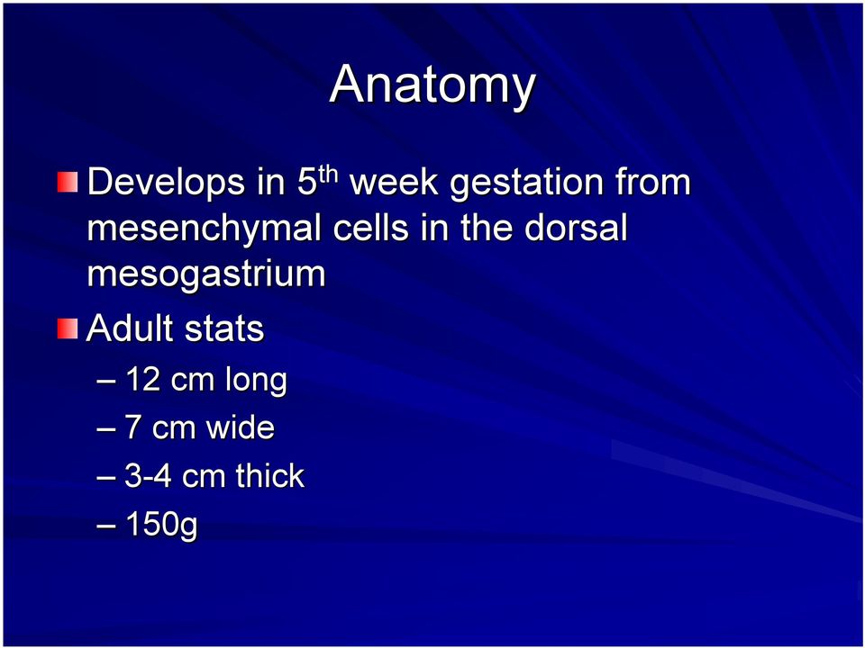 the dorsal mesogastrium Adult stats