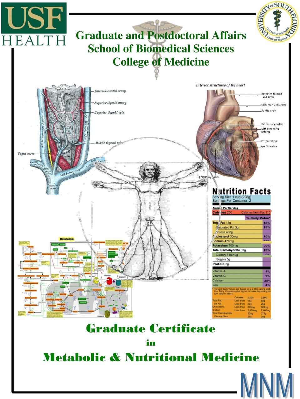 College of Medicine Graduate