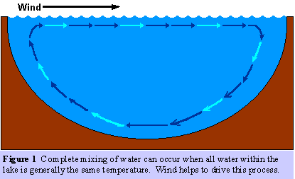 What is an overturn? An overturn is mixing the upper and lower levels of water.