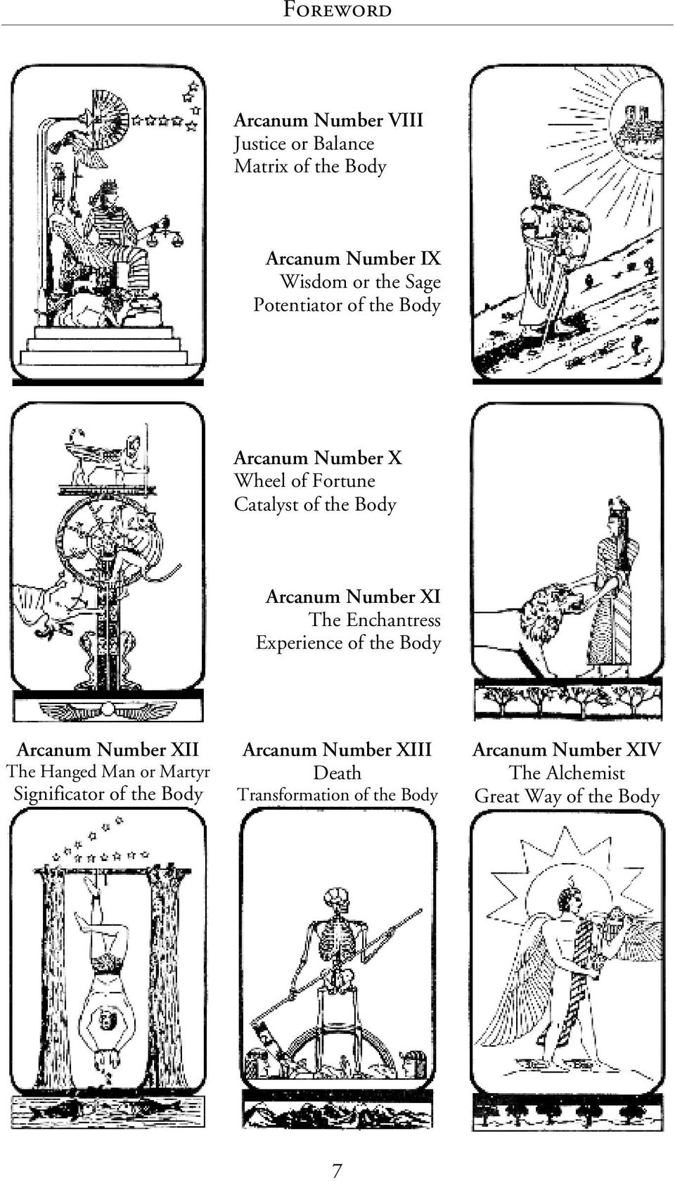 Enchantress Experience of the Body Arcanum Number XII The Hanged Man or Martyr Significator of the Body