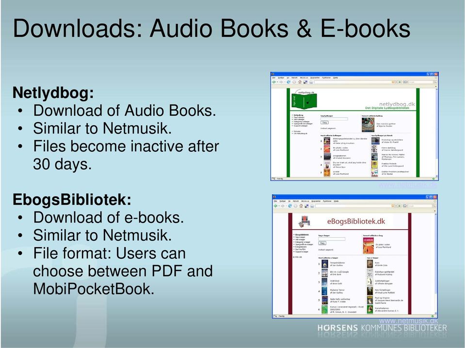 EbogsBibliotek: Download of e-books. Similar to Netmusik.