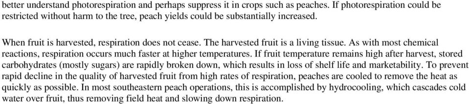 If fruit temperature remains high after harvest, stored carbohydrates (mostly sugars) are rapidly broken down, which results in loss of shelf life and marketability.