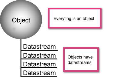 Objects have datastreams Source: https://wiki.duraspace.