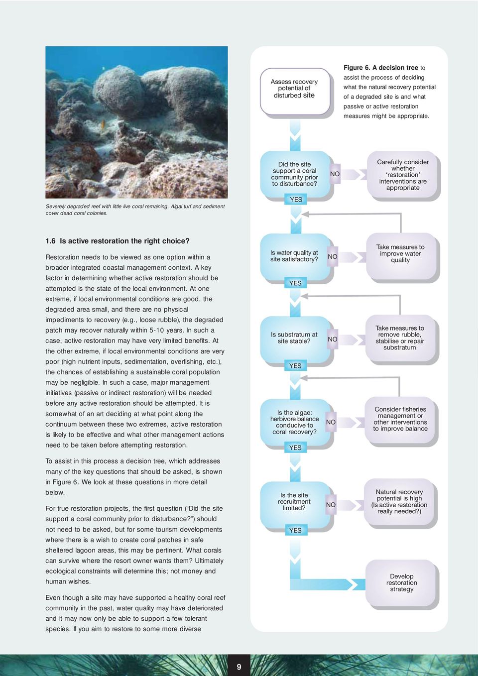 Did the site support a coral community prior to disturbance? NO Carefully consider whether restoration interventions are appropriate Severely degraded reef with little live coral remaining.