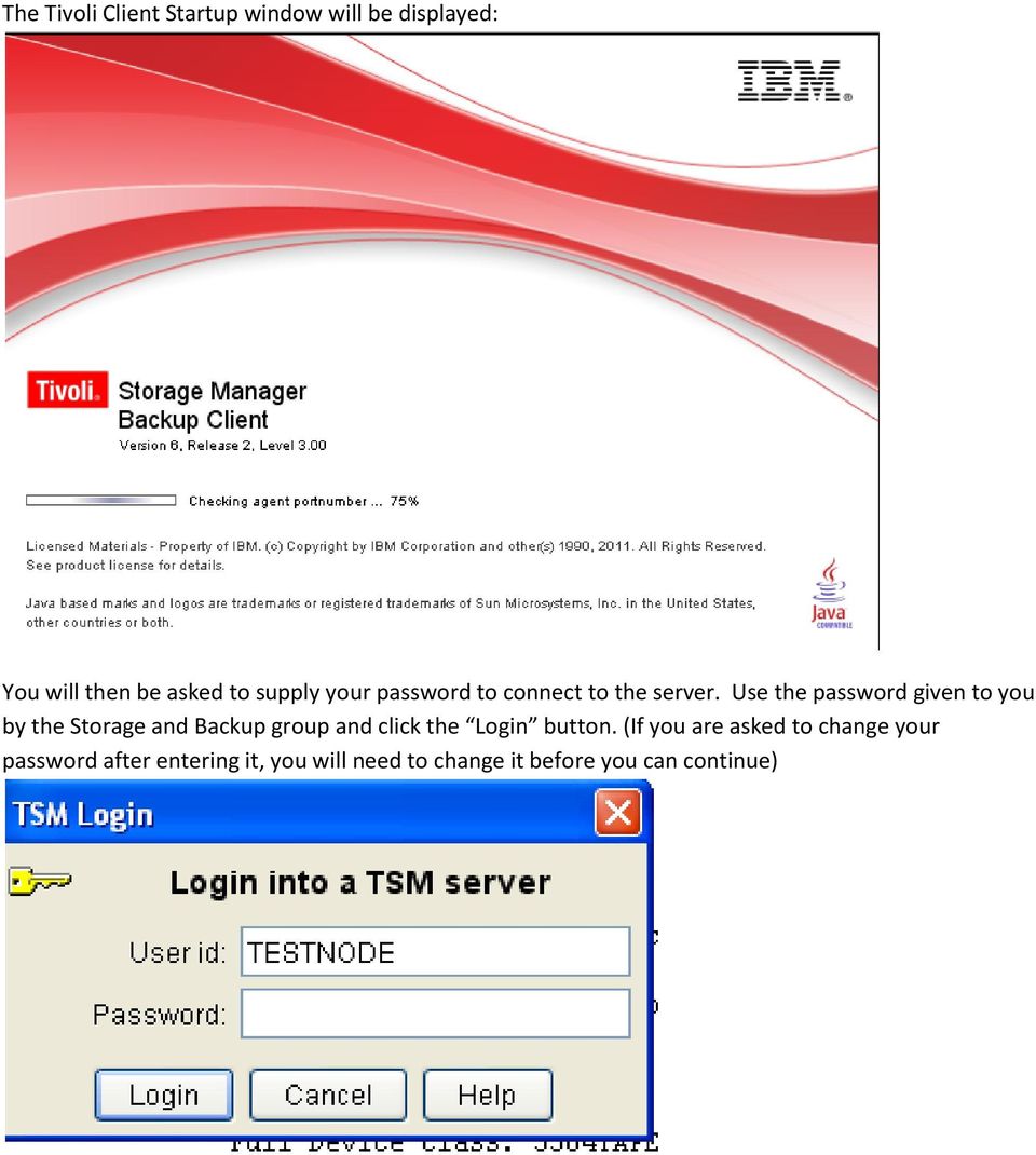 Use the password given to you by the Storage and Backup group and click the Login