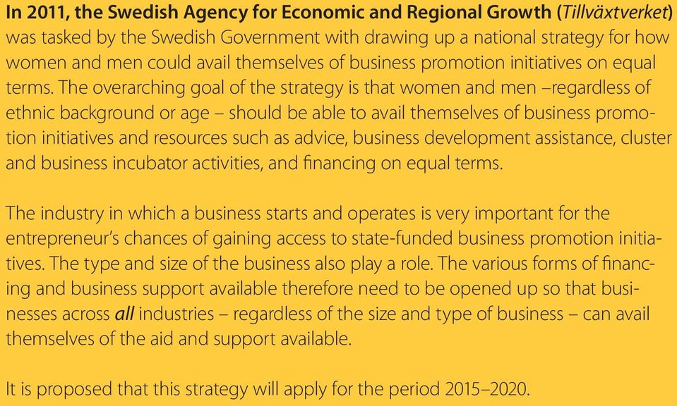 The overarching goal of the strategy is that women and men regardless of ethnic background or age should be able to avail themselves of business promotion initiatives and resources such as advice,