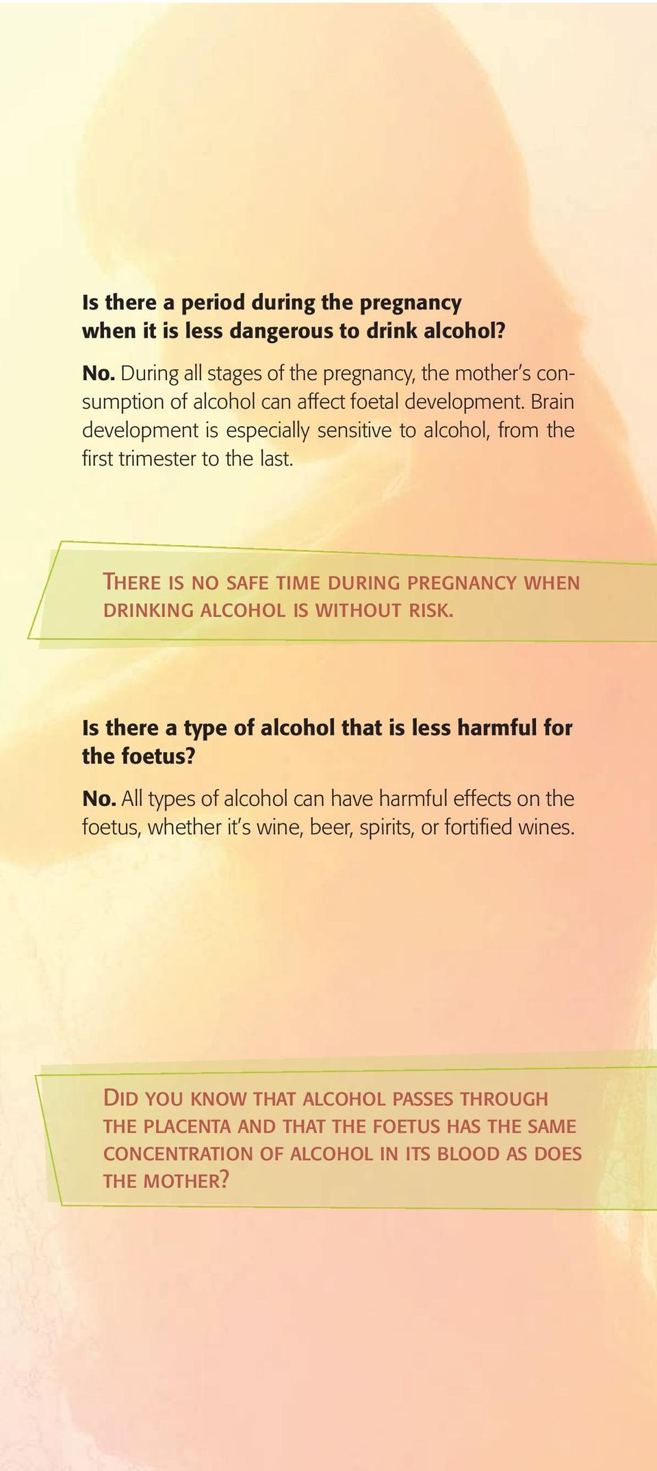 Brain development is especially sensitive to alcohol, from the first trimester to the last. There is no safe time during pregnancy when drinking alcohol is without risk.