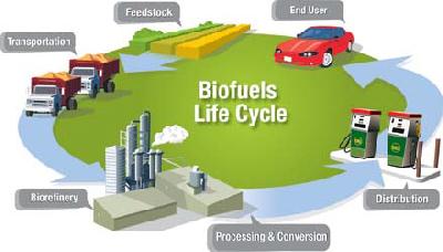 20 NAVAIR s ATJ Biofuel Process Checklist Feedstock No competition with food crops Poised to utilize all components of biomass Sustainable and affordable feedstocks Other waste streams such as