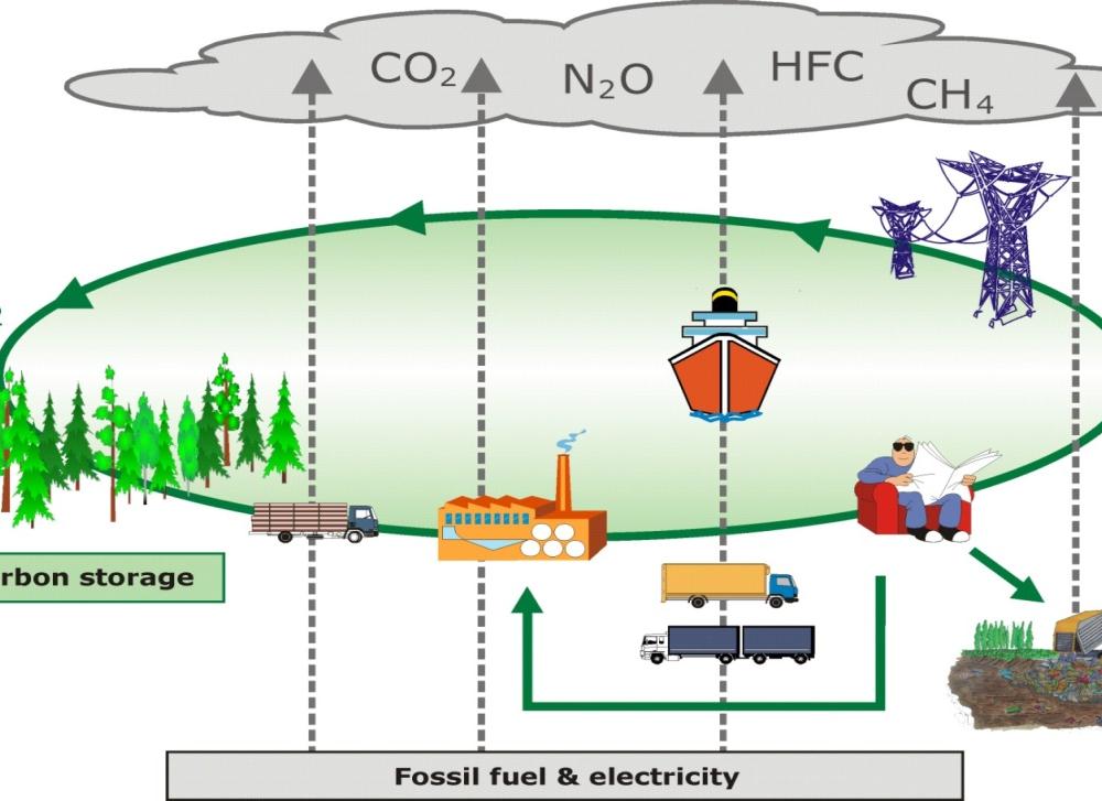 Carbon footprints and forest biomass why?