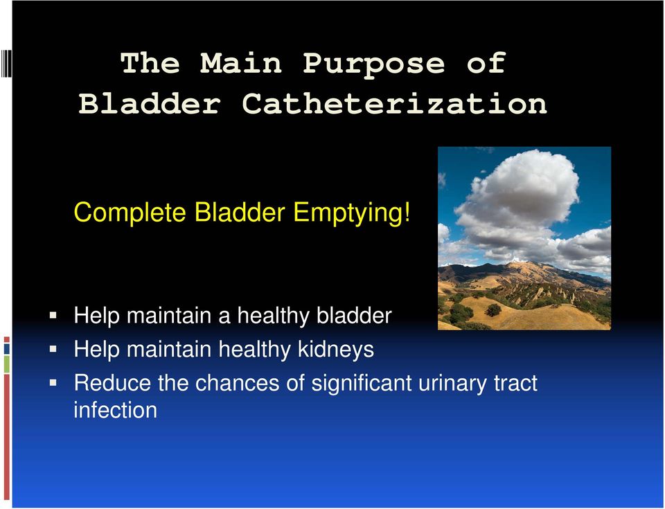 Help maintain a healthy bladder Help maintain