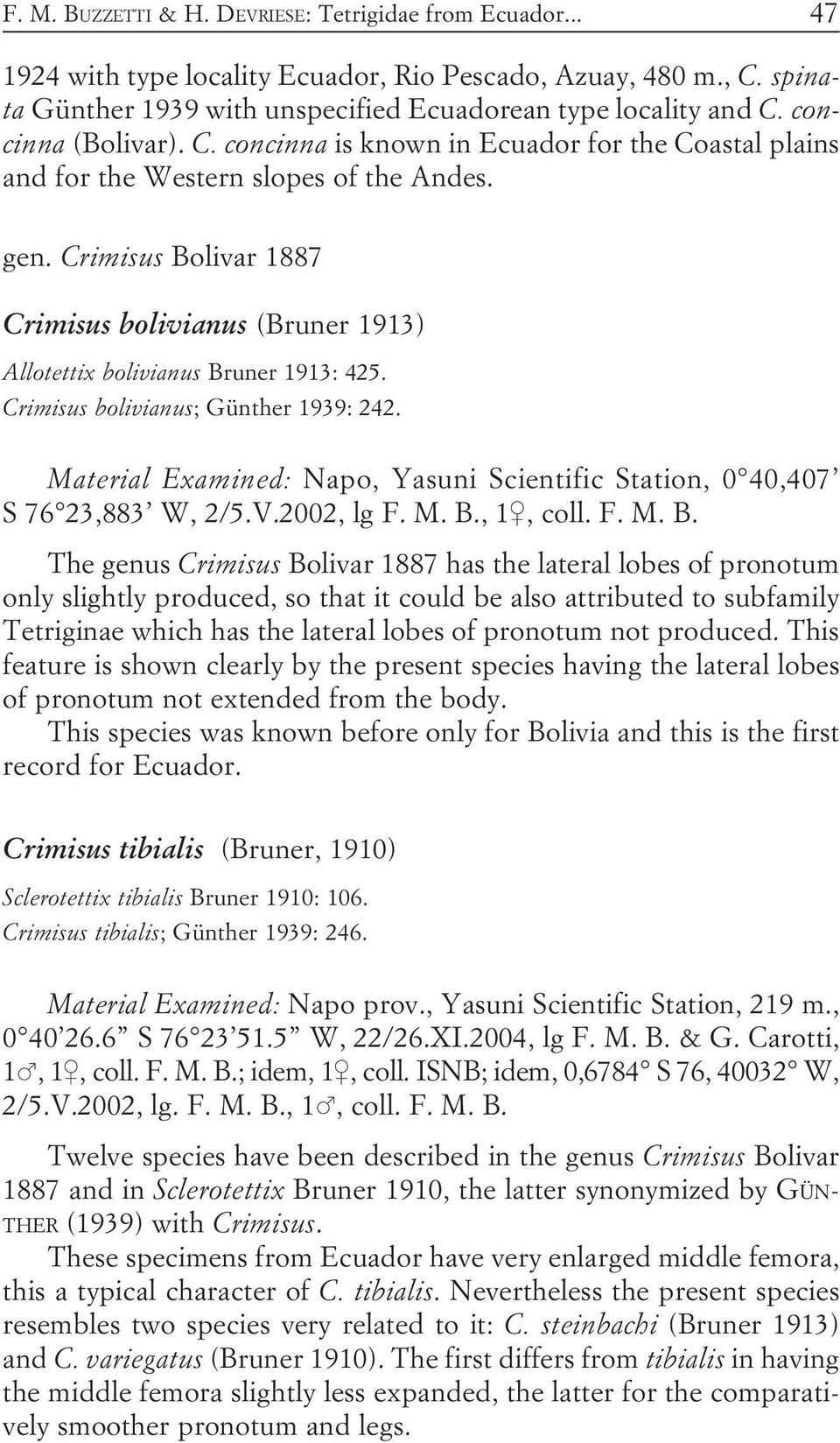 Crimisus Bolivar 1887 Crimisus bolivianus (Bruner 1913) Allotettix bolivianus Bruner 1913: 425. Crimisus bolivianus; Günther 1939: 242.