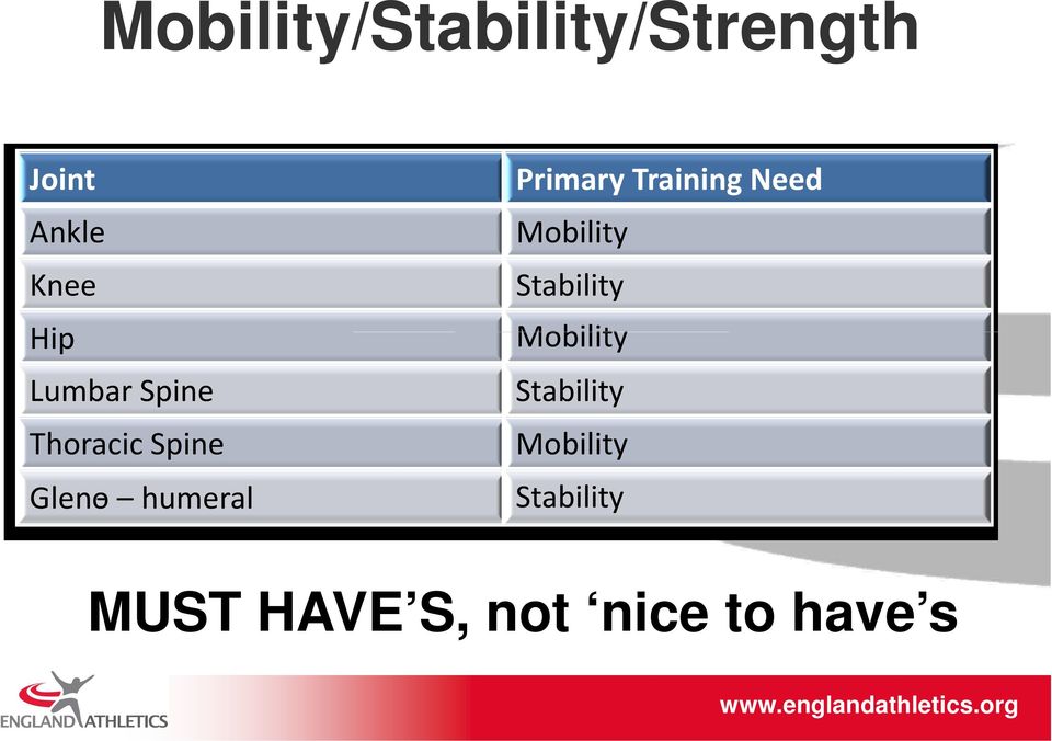 Thoracic Spine Primary Training Need Mobility