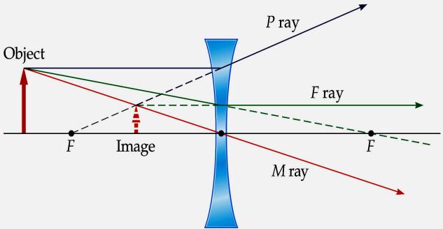 A concave lens can also be modeled by prisms: The three principal rays for lenses are similar to those for mirrors: The P ray or parallel