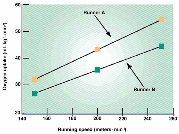 Tests to Determine Running Economy Measurement of the oxygen cost of running at various speeds greater running