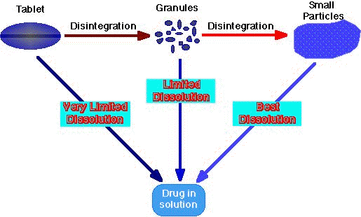 Tablet Dissolution redrawn from Cadwallader, 1983 Fig 3.14.1 Slide showing the processes involved in the dissolution of a tablet before absorption.