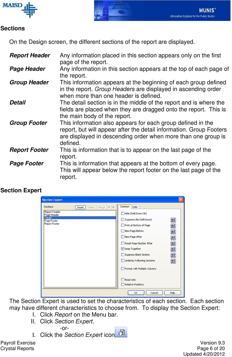 Any information in this section appears at the top of each page of the report. This information appears at the beginning of each group defined in the report.