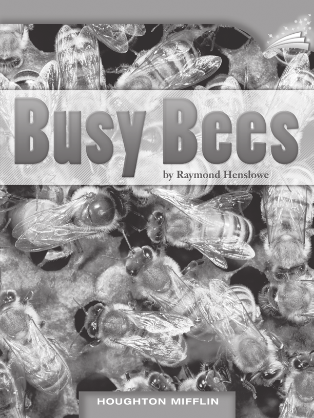 LESSON 6 TEACHER S GUIDE by Raymond Henslowe Fountas-Pinnell Level L Informational Text Selection Summary There are three kinds of bees queens, workers, and drones each with its own kind of work to