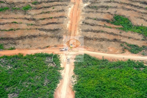 FIP & Monoculture Tree Plantations Tree plantations are aknowledge as a key driver of deforestation in many IPs However, most IPs include plantations as positive to reduce deforestation Or the