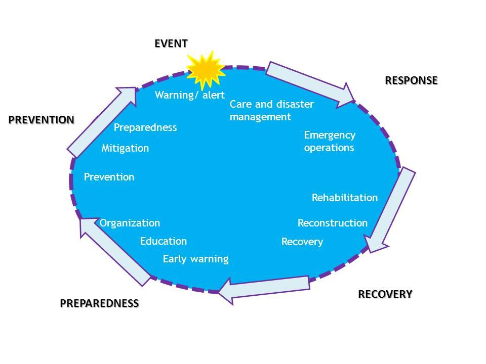 Risk Management Cycle Disaster Risk Management As shown in the chart above, four phases can be distinguished in the cycle, each of them with its own sub-phases.